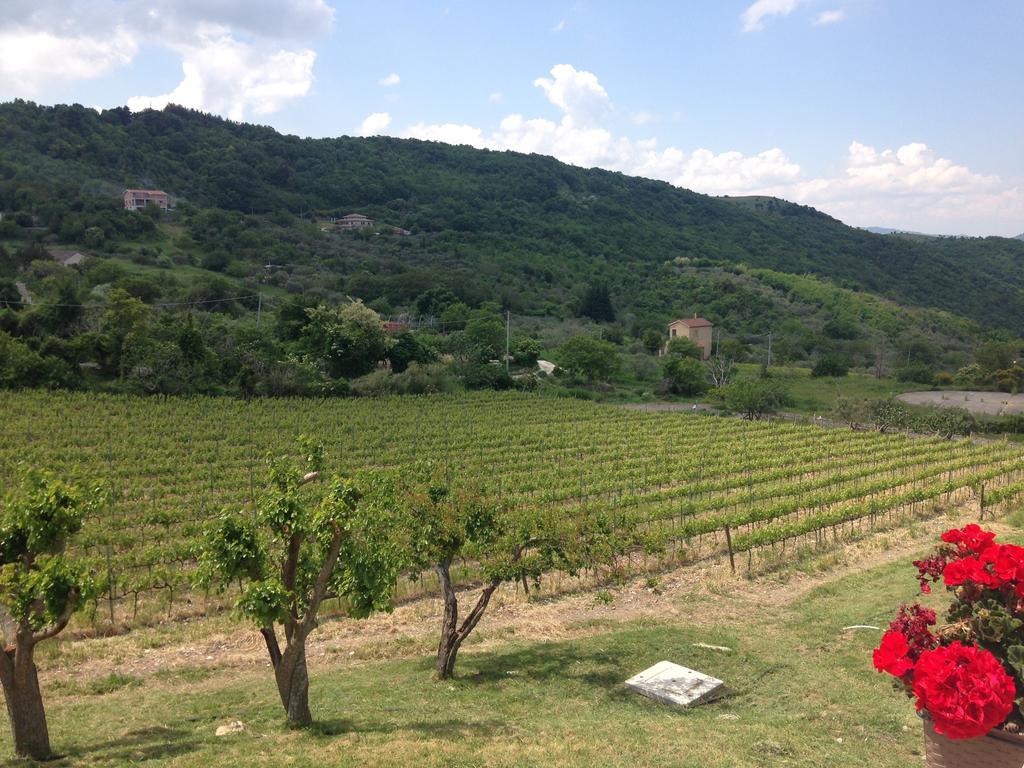 Hotel Bed&Wine Rocco Zambri Bovino Exterior foto